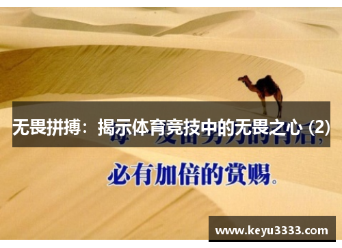 无畏拼搏：揭示体育竞技中的无畏之心 (2)